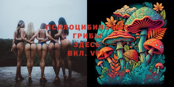 таблы Медвежьегорск
