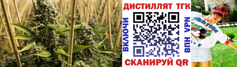 Дистиллят ТГК THC oil  мега как зайти  Нарьян-Мар  нарко площадка какой сайт  купить закладку 