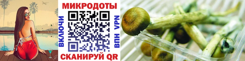 где продают   Нарьян-Мар  кракен ссылки  Псилоцибиновые грибы Cubensis 