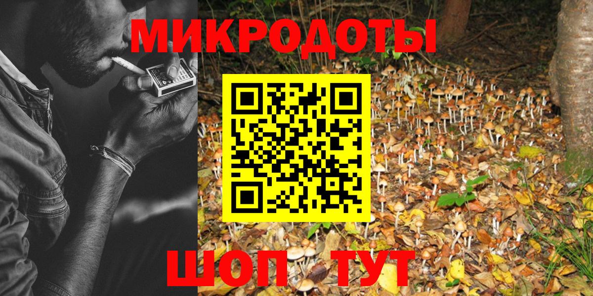 Псилоцибиновые грибы MAGIC MUSHROOMS  Вход с VPN  Нарьян-Мар 